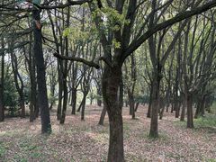 -蜀冈西峰生态公园