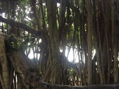 -胡里山炮台