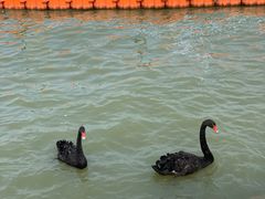 -天津东丽湖风景区