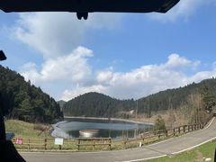 -武陵山森林公园