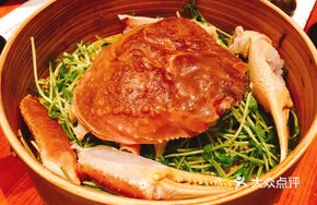 Matsukaze Crab (One Crab, Many Dishes)