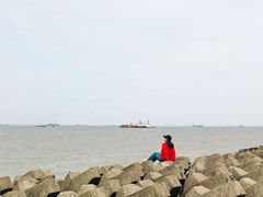-上海滨江森林公园