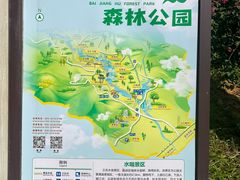 -广州白江湖森林公园