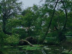 -西溪南古村落景区