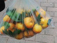 -百果园PAGODA(应元路店)