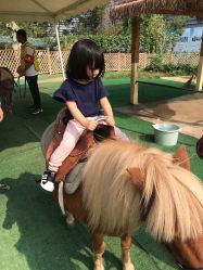 -萌宠亲子动物乐园(槐房万达店)