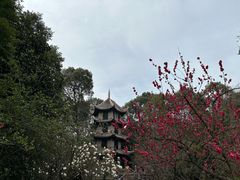-成都杜甫草堂博物馆