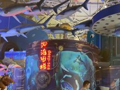 -烟台海昌鲸鲨海洋公园