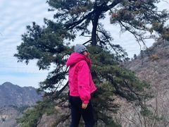 -秦岭终南山世界地质公园翠华山景区