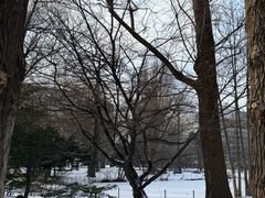 -北海道厅旧本厅舍(旧本庁舎)