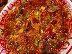 -欧记大排档·景德菜(上海首店)