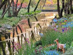 -上海共青森林公园