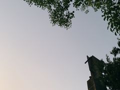-美丽洲堂