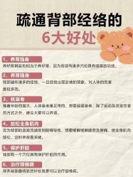 点击看大图 -玛莲朵·海菲秀冰珀科