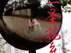 -三圣花乡旅游区