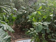 -海南热带野生动植物园