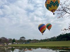 -中国科学院西双版纳热带植物园