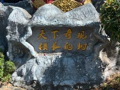 -瑞丽独树成林风景区