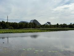 -哈尔滨大剧院