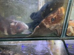 -星奇缘·海鲜餐厅(东山美食地标店)