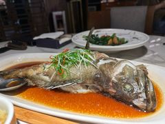 -钟菜·粤菜点心·宴请(海上世界·汇港二期店)