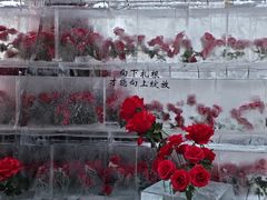 -万达广场(龙湖店)