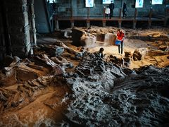 -自贡恐龙博物馆