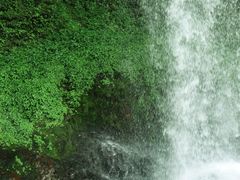 -龙苍沟森林公园