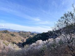 -蟠龙山长城景区
