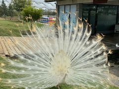 -鄱阳湖国家湿地公园