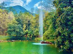 -大奇山国家森林公园