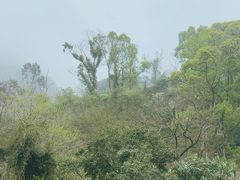 -雁荡山三折瀑景区