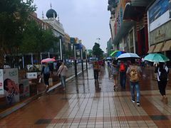 -魏家凉皮(协和店)