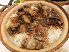 黄鳝煲仔饭-沙龙酒家