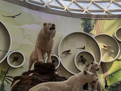 -陕西自然博物馆