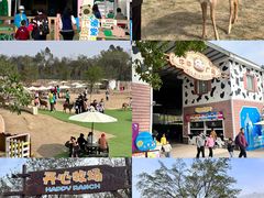 -盈香心动乐园