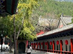-青龙山生态文化旅游区(慈云寺)