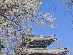 -颐和园