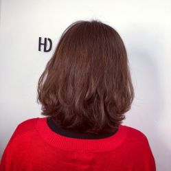 烫染-HD HAIR STYLE
