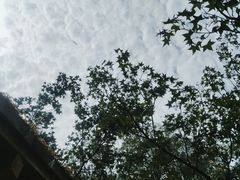 -九如山休闲旅游度假区