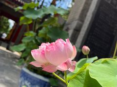 -西安市广仁寺