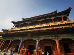 -玫瑰红烤羊排(北新桥三条店)