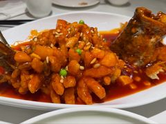 -羲和雅苑•北京烤鸭(国贸商城店)