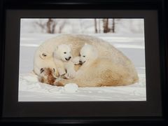 -罗红摄影艺术馆