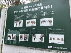-野象谷景区