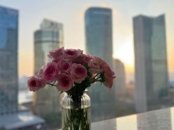 -巍阁高端月子会所