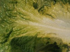 -合易泓烤肉•首创生椰大油边(宁山路店)