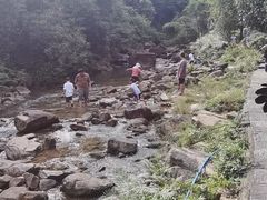 -广州白江湖森林公园