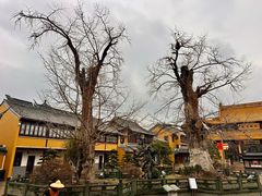 -圆通寺
