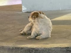 -STELLAR NIGHT CLUB星际酒吧(明发商业广场店)